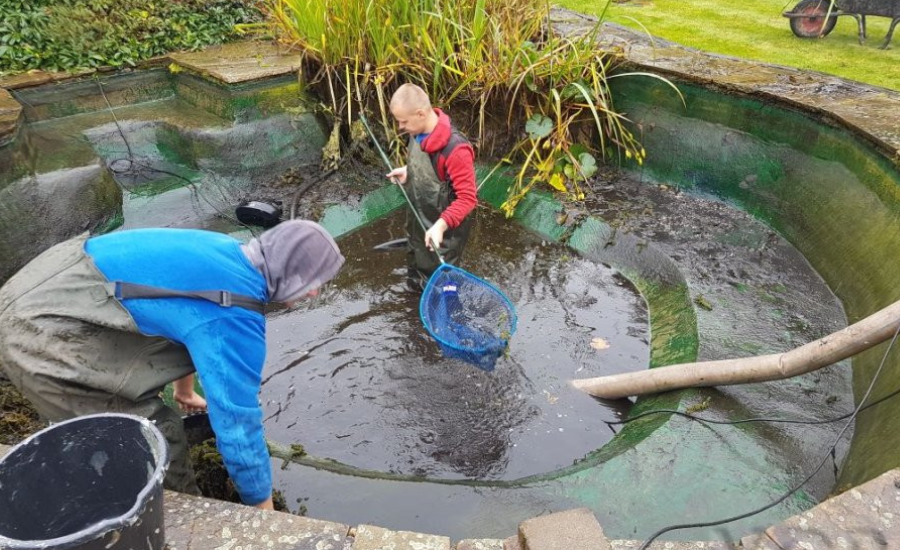 Pond Cleaning Service